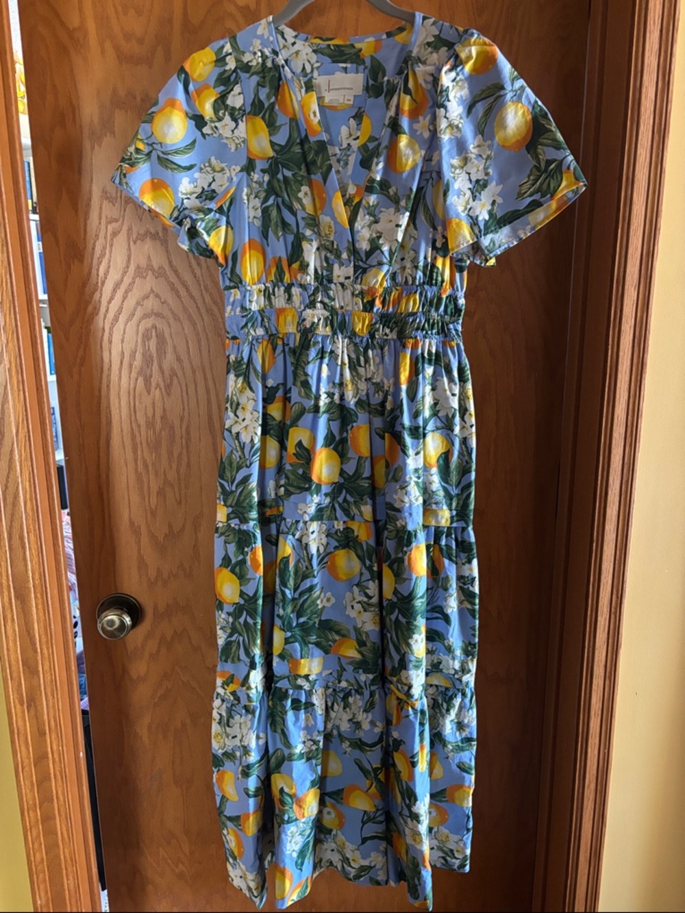 Anthropologie Petite Lemon Floral Blue Maxi Dress - Picture 2 of 5